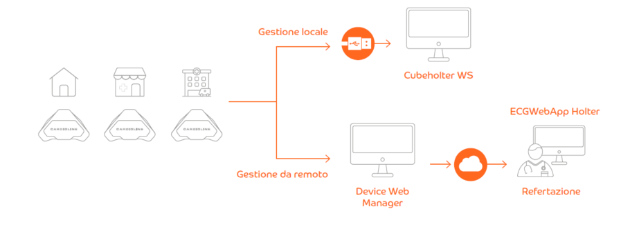 gestione holter walk free
